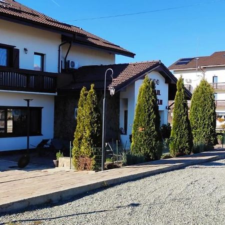 Hotel Complex Transalpina à Aninisu din Vale Extérieur photo