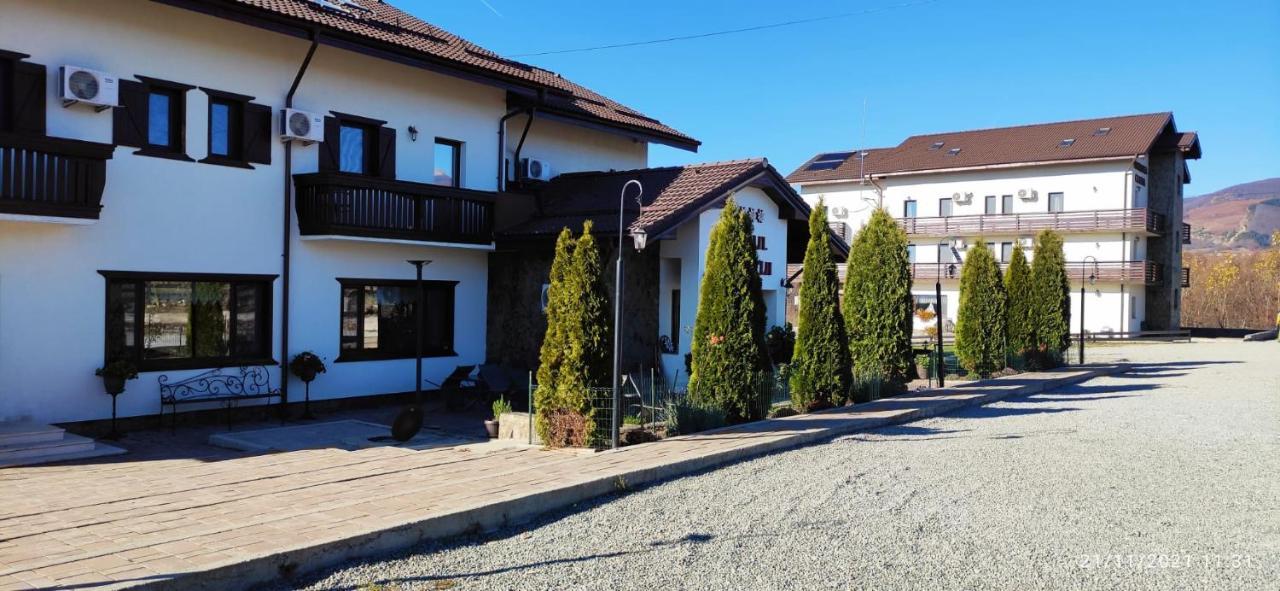 Hotel Complex Transalpina à Aninisu din Vale Extérieur photo