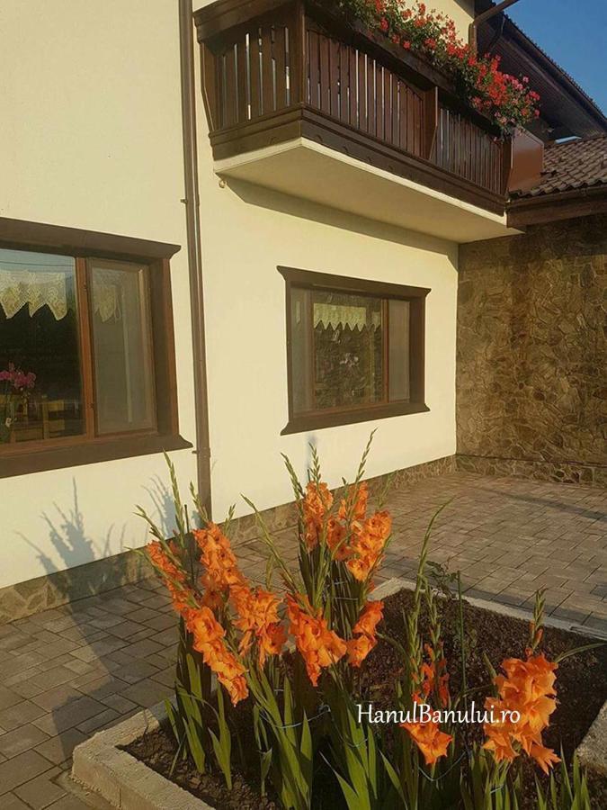 Hotel Complex Transalpina à Aninisu din Vale Extérieur photo