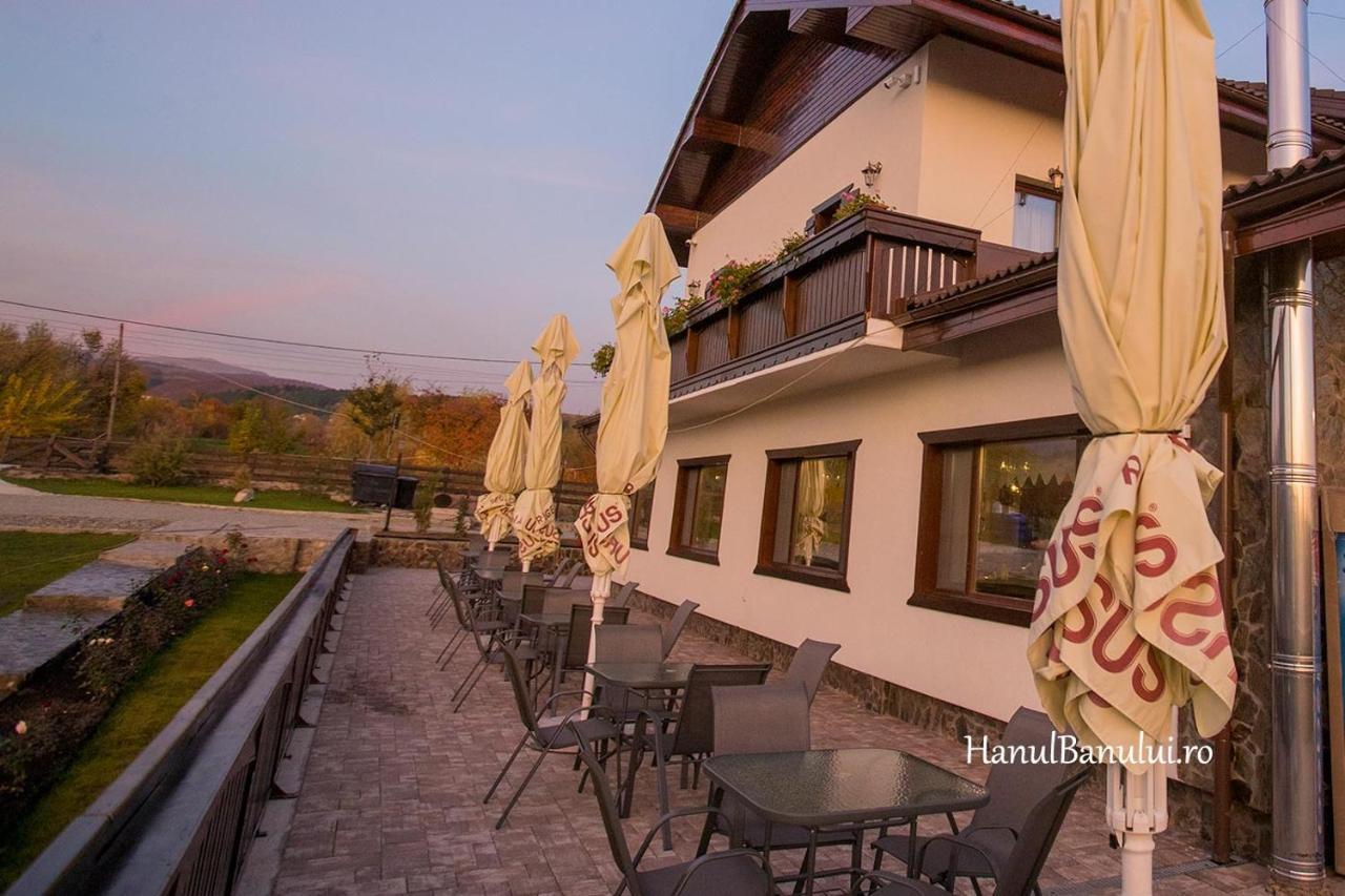 Hotel Complex Transalpina à Aninisu din Vale Extérieur photo