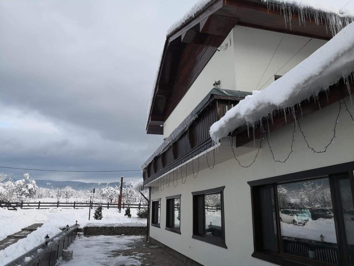 Hotel Complex Transalpina à Aninisu din Vale Extérieur photo