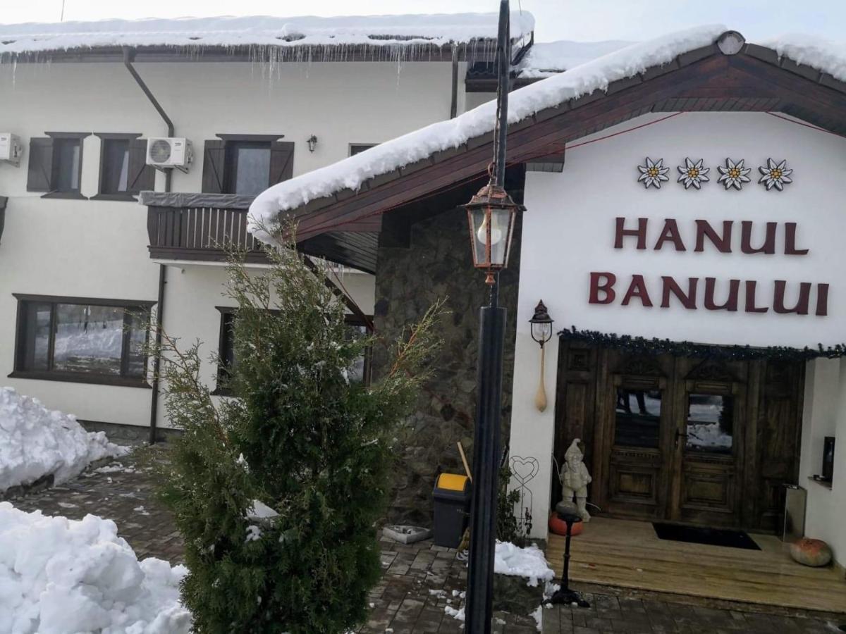 Hotel Complex Transalpina à Aninisu din Vale Extérieur photo