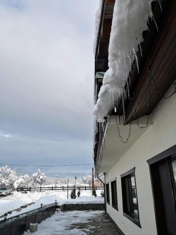 Hotel Complex Transalpina à Aninisu din Vale Extérieur photo
