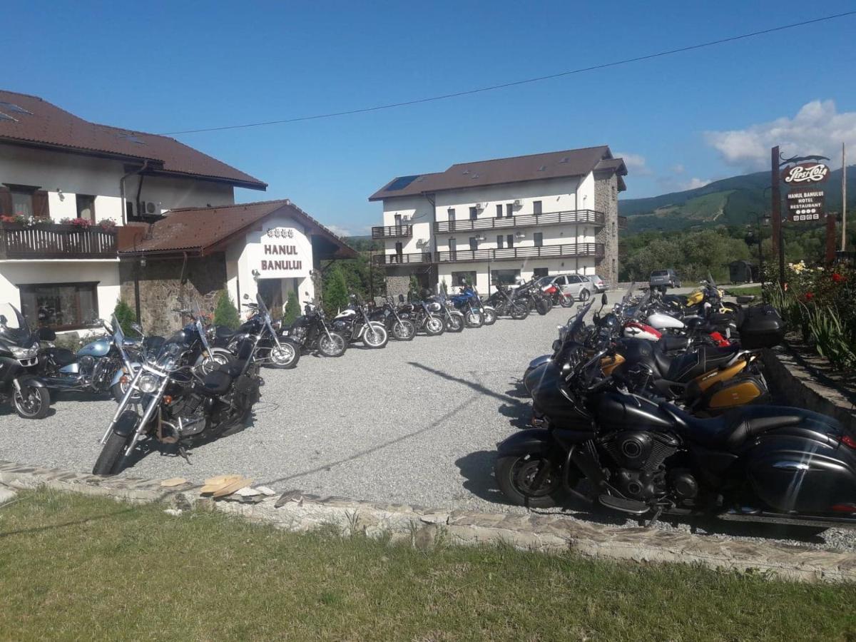 Hotel Complex Transalpina à Aninisu din Vale Extérieur photo